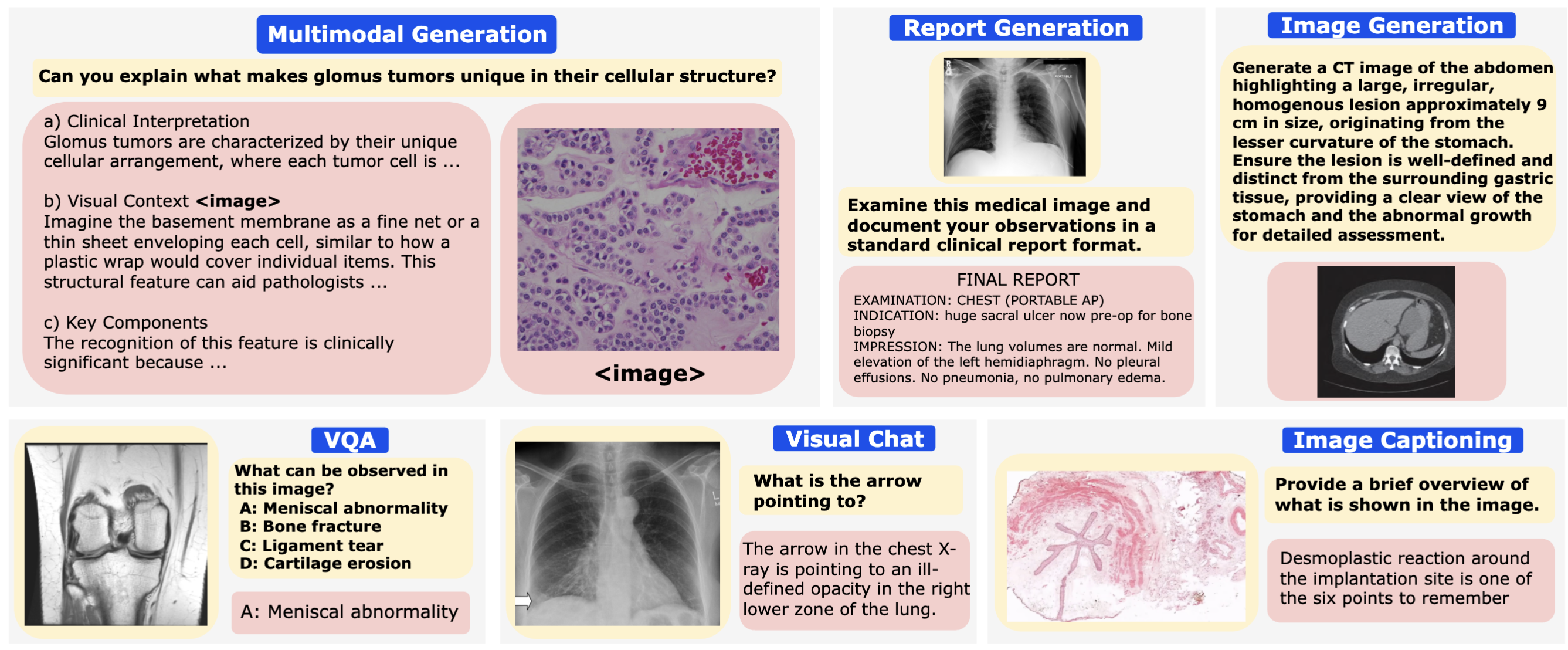 Examples of Diverse Multimodal Biomedical Tasks